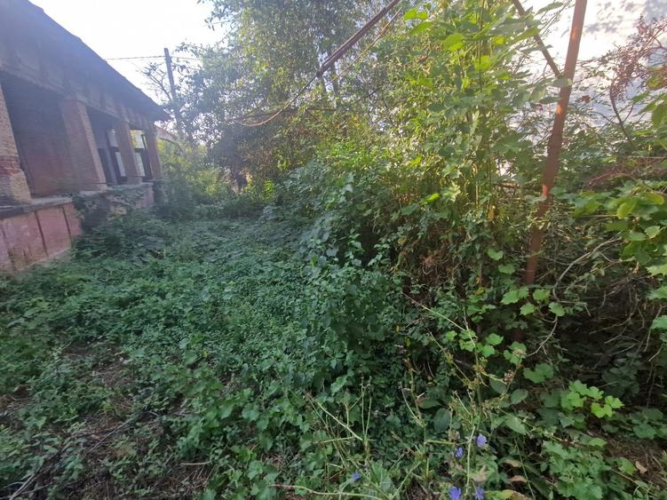 Cornetu stradal, vanzare teren intravilan 1.600mp - 14