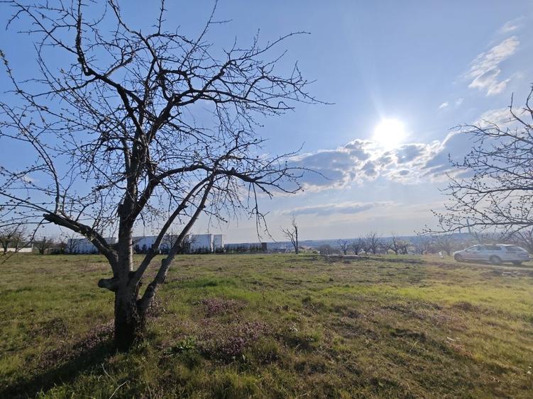 Teren intravilan premium cu panorama spectaculoasa asupra Oradiei - 4