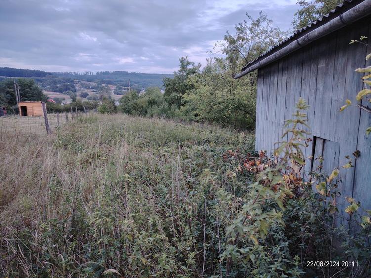 Casa cu teren 23 ari in Darmanesti, jud Suceava - 2
