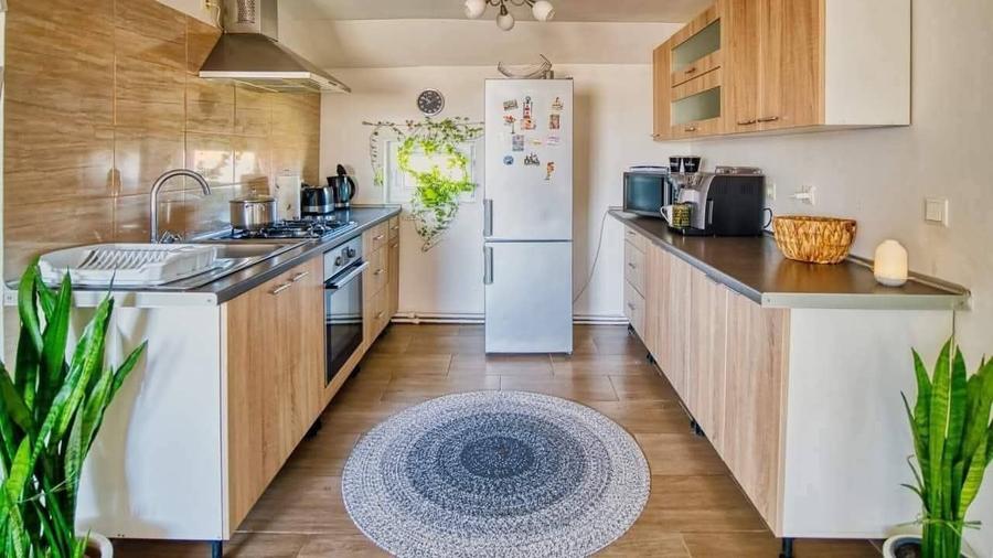 VILA + AFACERE IN SANNICOLAU MARE - 3