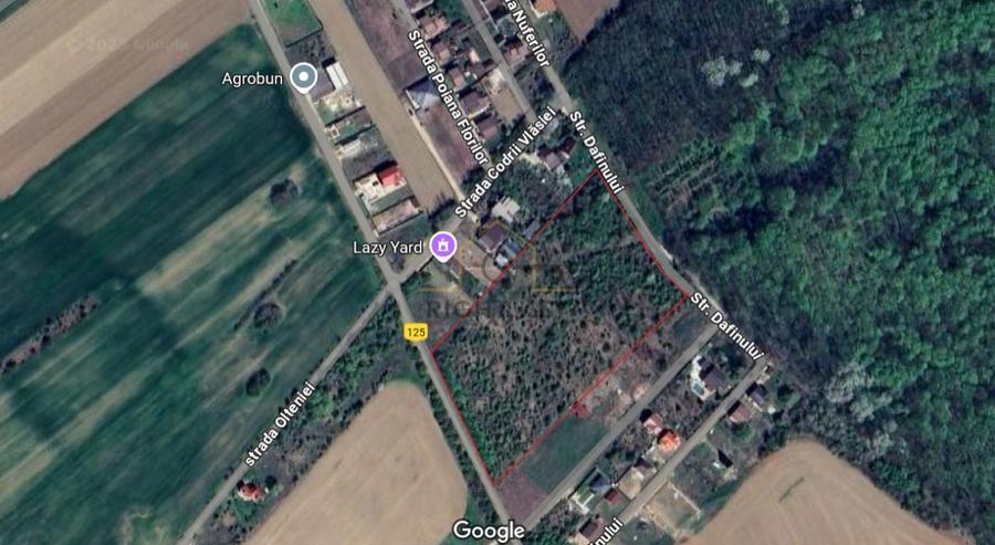 Oportunitate!Teren langa padure, dubla deschidere, front stradal 100m! - 1