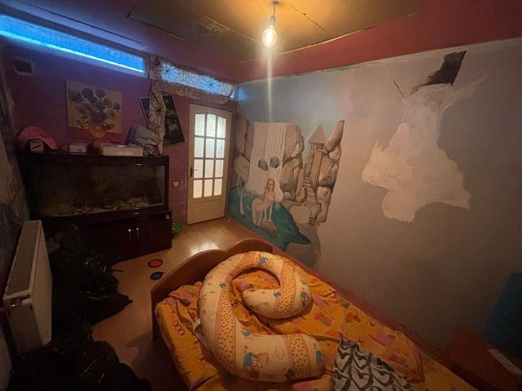 Casa de vanzare cu 4 camere (P+M) in zona Cartier 23 August-Hala Laminor - 10