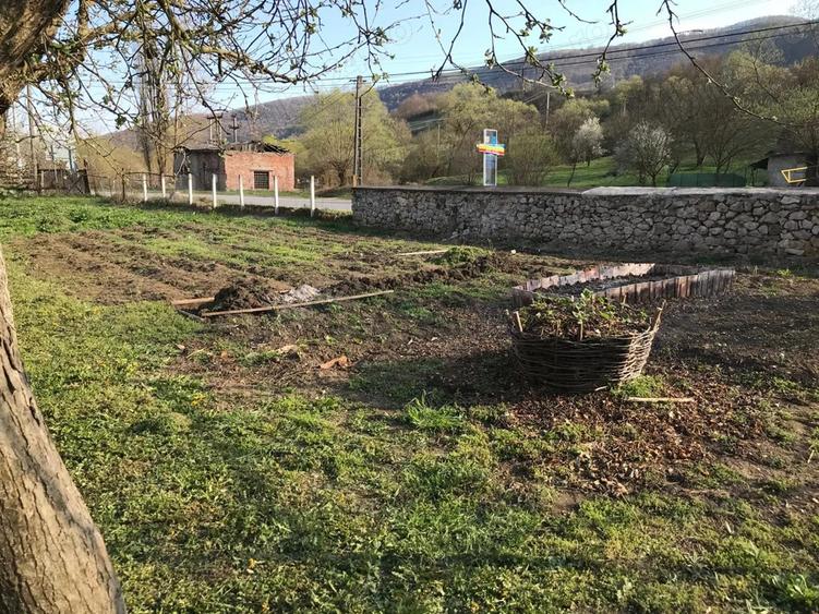 Casa cu livada de vanzare Poiana Aiudului - 10