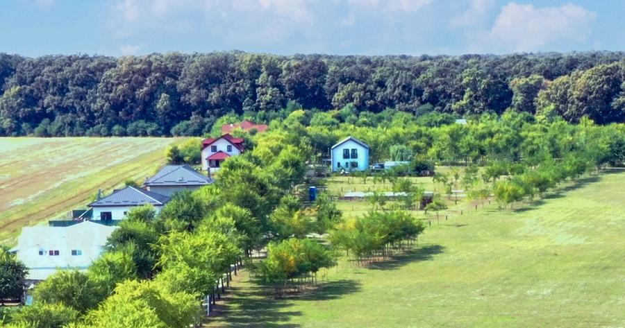 Ilfov, teren premium la Codrii Vlasiei comunitate privata vecini milionari - 2