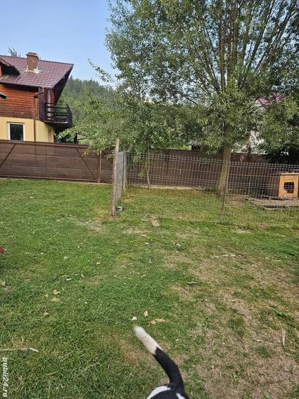 vand casa in localitatea Vama. jude?ul Suceava - 2