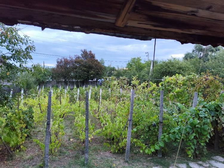 Casa si teren Breasta - 7