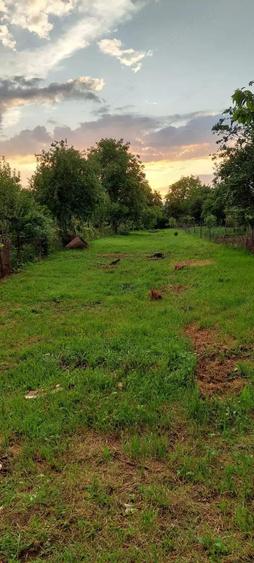 Teren intravilan, 1000 mp, Iezureni Gorj - 1