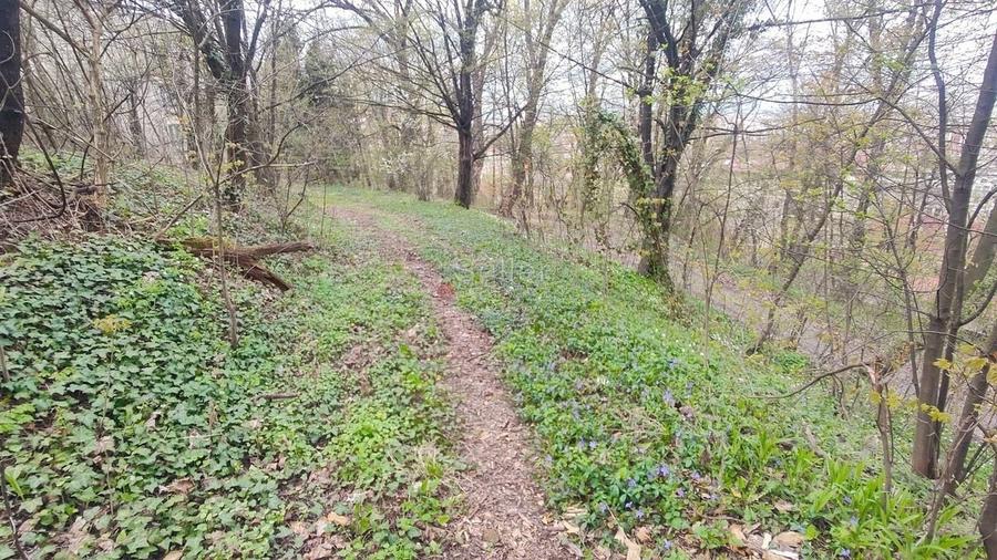 Teren Intravilan Centrul Civic - 11