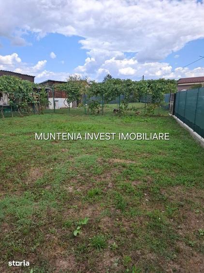 Gospodarie de vanzare Bro?teni | 14 km de Pite?ti | Teren 596 mp. - 6