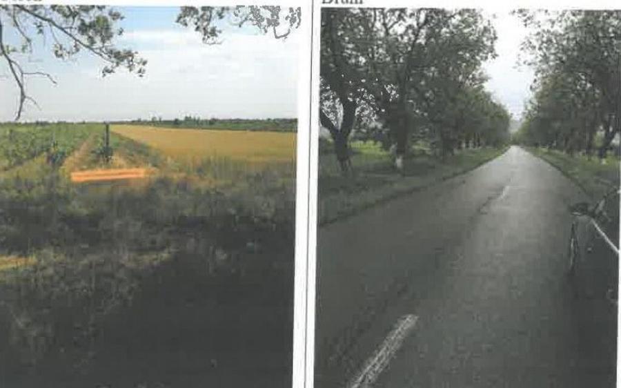 Teren extravilan Pietroasele, ID: R2586802 - 2