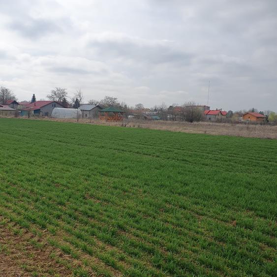 Tâncăbești -Ilfov suprafață 4500 mp - 4