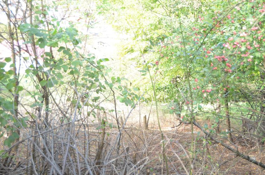 Teren intravilan Brasov-Schei - 8