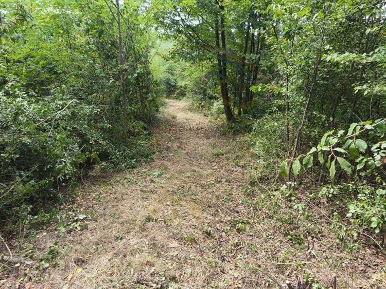 Teren intravilan Mosoaia - Hintesti - 3