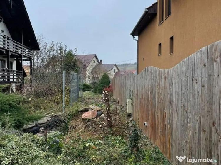Casa de vanzare Beius - 17