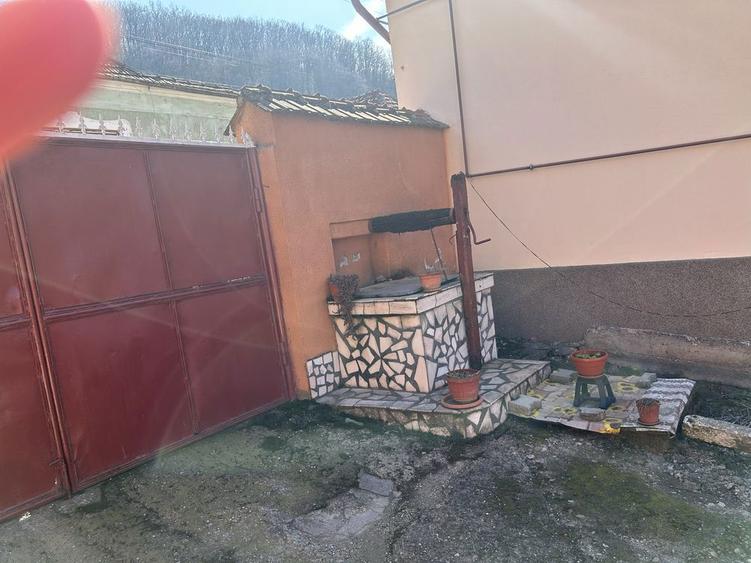 Vand casa la tara Saliste - 8