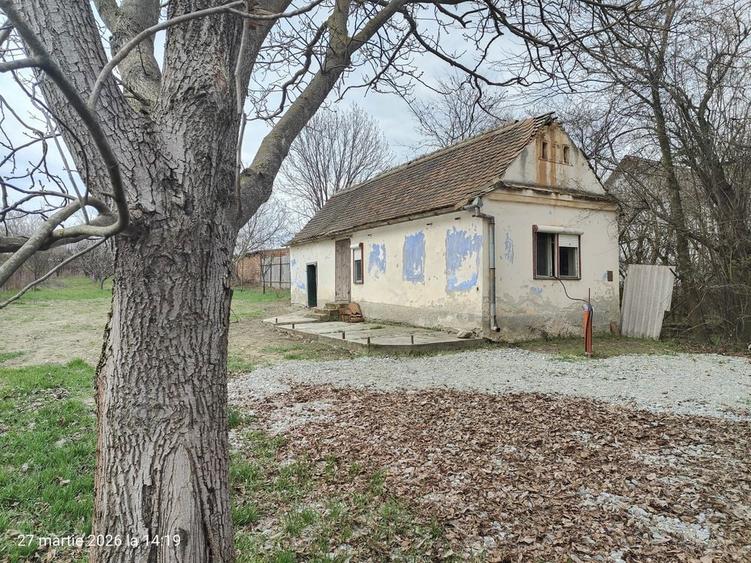 Casa cu livada / Teren intravilan / Sacel - 1350 mp Pozitie centrala - 7