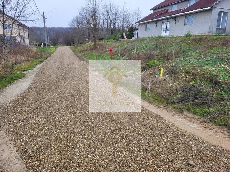 Teren extravilan Paleu - 3