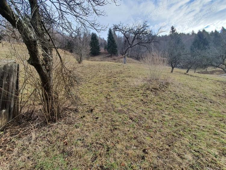 Teren rezidential Bran Simon zona de case - 3