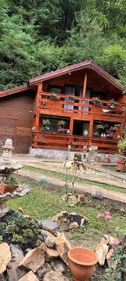 Vand casa de vacanta! - 1