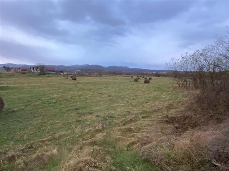 Caransebes, Teren Drept 5087 Mp. Ideal pt Casa 20 Euro Mp. Racovita - 2