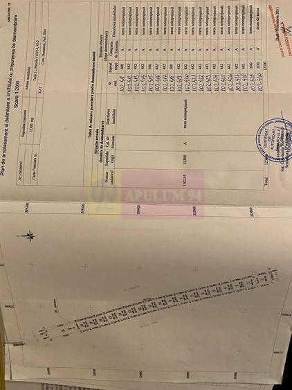 Teren Domnesti 12300 mp de vanzare sau asociere - 2