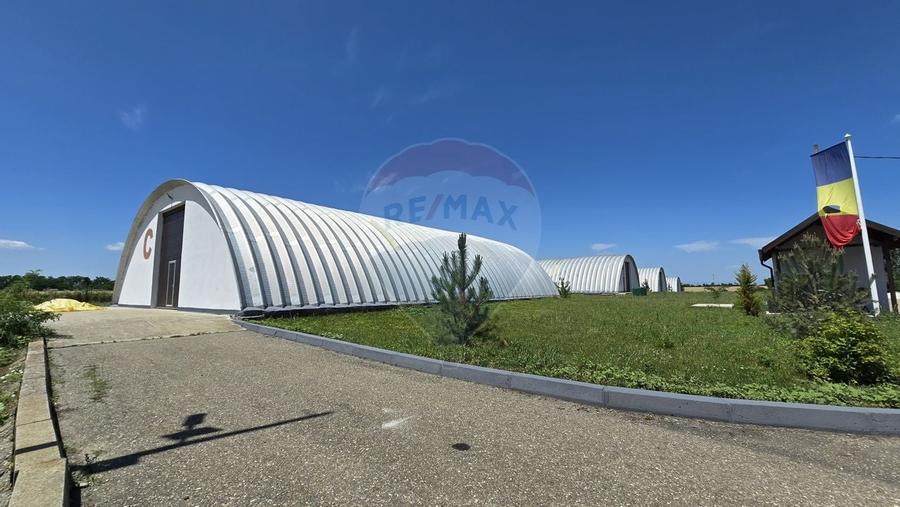 DE VANZARE | Hale | 1407mp | Teren 9344 | Potigrafu - 21