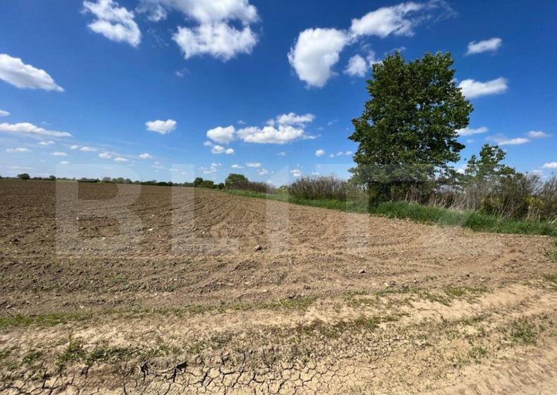 Teren 700mp, zona strada Careiului - 2