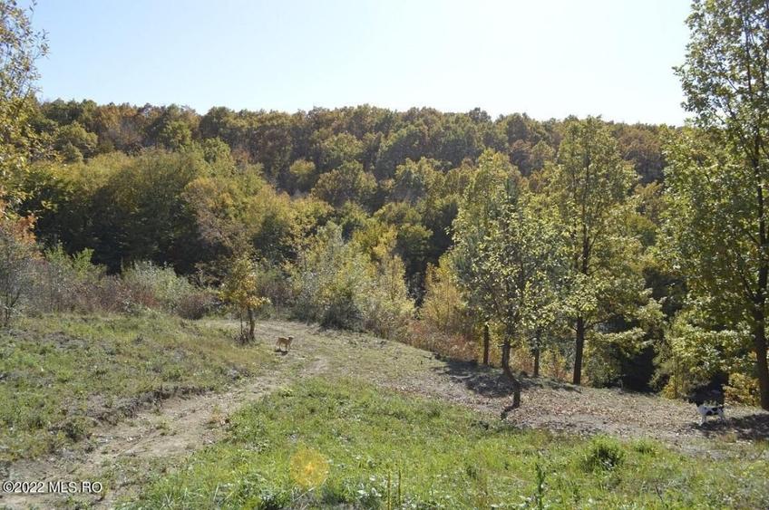 Topoloveni - Conacul Ion Mihalache, Domeniu pe 5 Hectare! - 58
