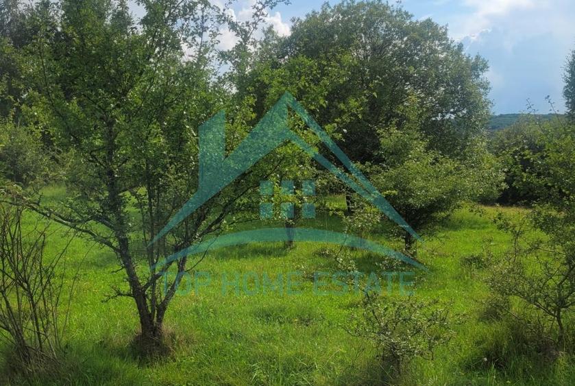 Teren pentru cabana/pensiune zona Lac Micesti! - 6
