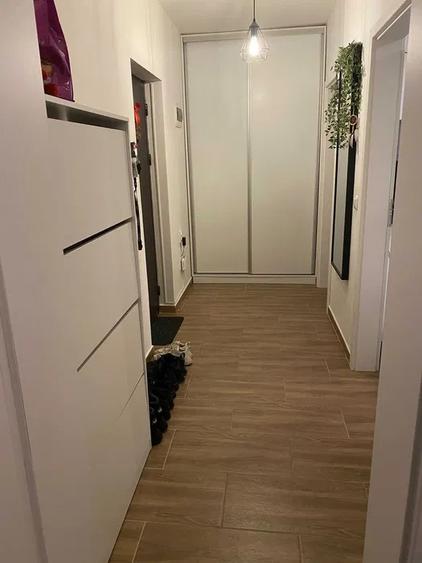 APARTAMENT 1 CAMERA, DECOMANDAT, BLOC NOU, MOBILAT, ETAJ 1, POPAS PACURARI - 1