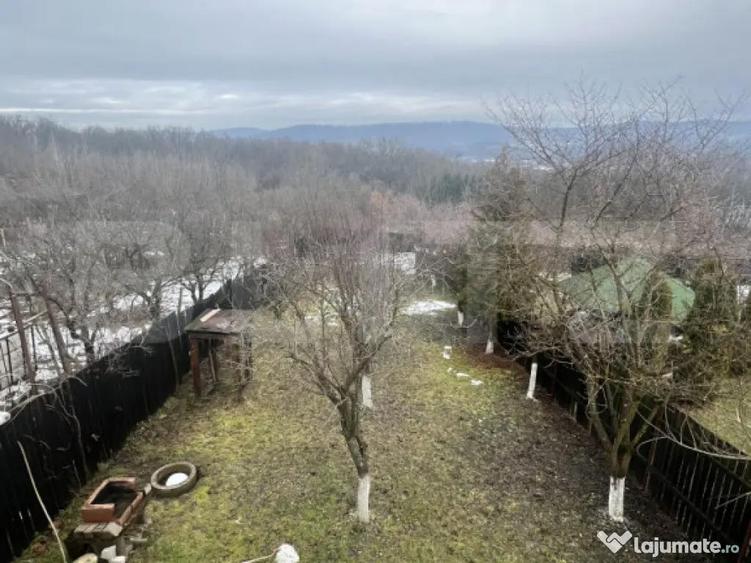 Cabana de lemn- Vatmani - 7