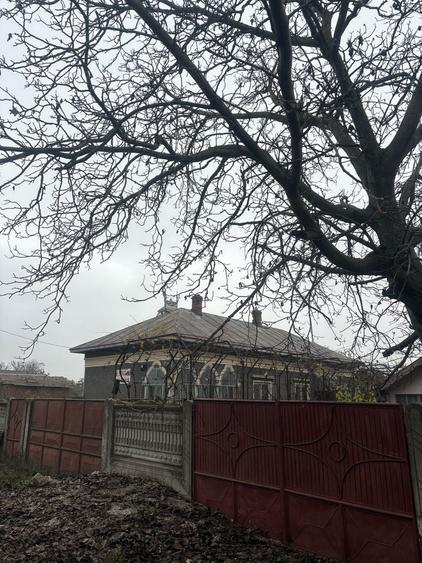 Vanzari casa si teren - 5