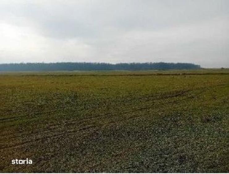 Teren extravilan 635 mp Harsesti, ID: R2922302 - 10