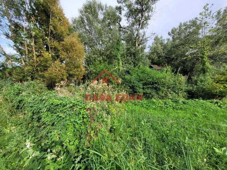 Teren intravilan in Telega--17.131 mp--180.000e - 3