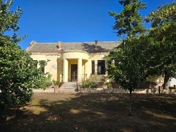 Cenad-Ultracentral-2 fronturi- Casa cu ahitectura deosebita - 4