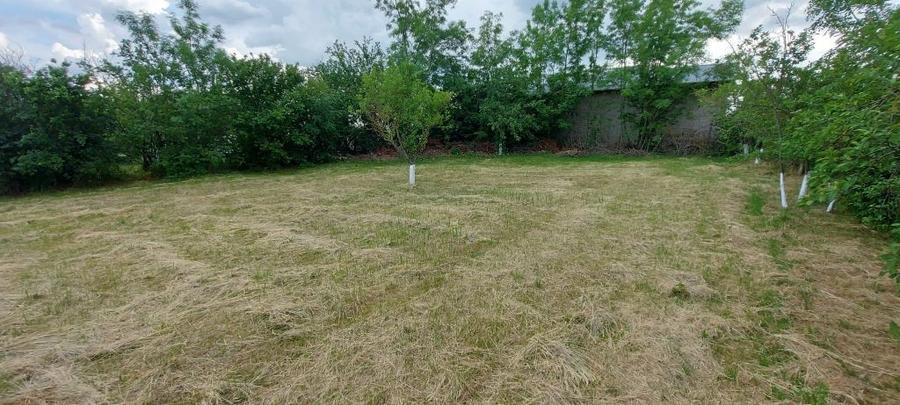 Teren intravilan de vânzare | 900 mp | Movila | Toate utilitatile - 2