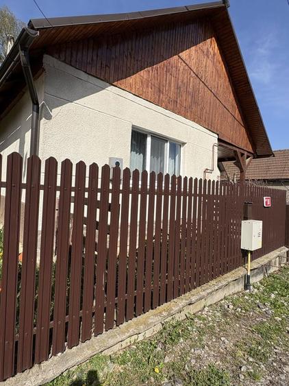 Vand casa Baia Mare Ferneziu - 2