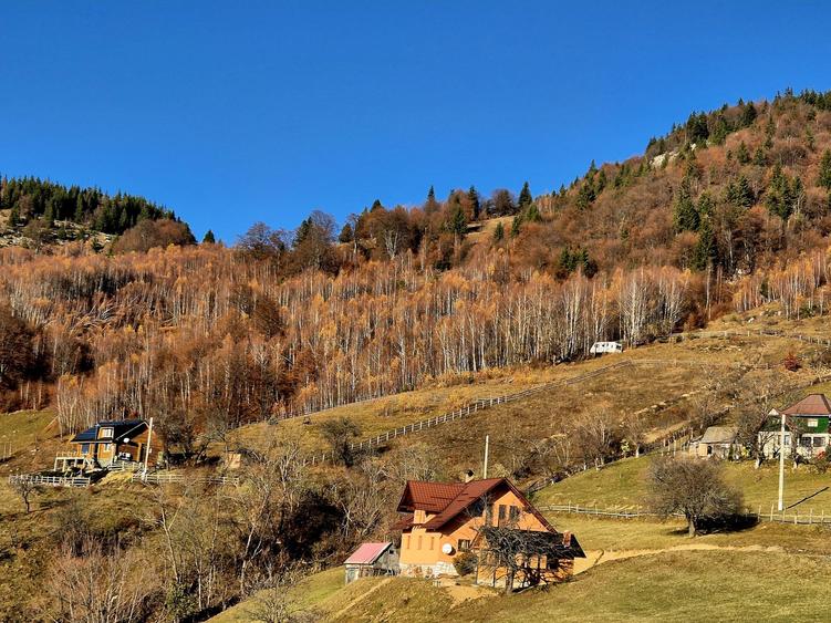 Teren de vânzare în sat Măgura/ Brasov– loc pentru familie, liniște și suflet - 5