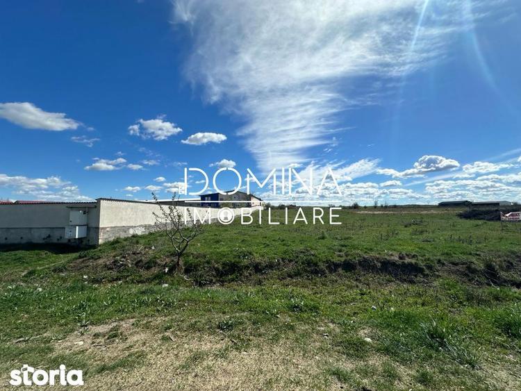Vanzare teren intravilan 10.339 mp -dubla deschidere- str. Narciselor - 3