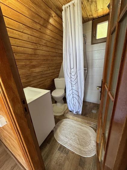 Proprietate turistica completa de vanzare in Cicanesti, Arges 2 casute functionale, 2.356 mp teren intravilan, energie verde si peisaj de vis - 7