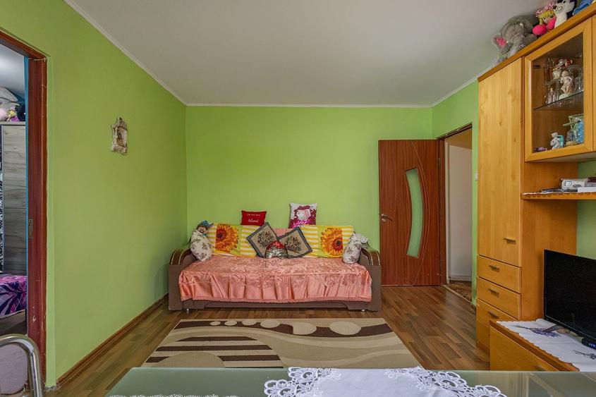 De vanzare apartament 2 camere in Buzias - 2