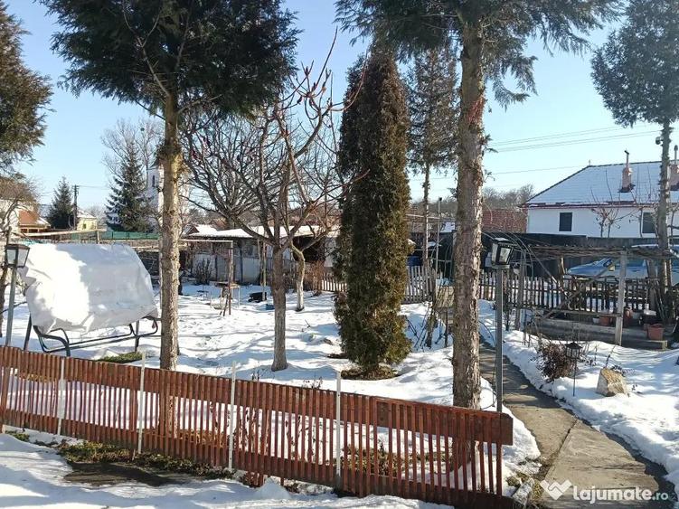 Vand casa centru ?ichindeal - 5