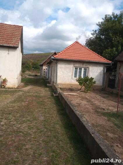 Vanzare casa in Pauli? - 4