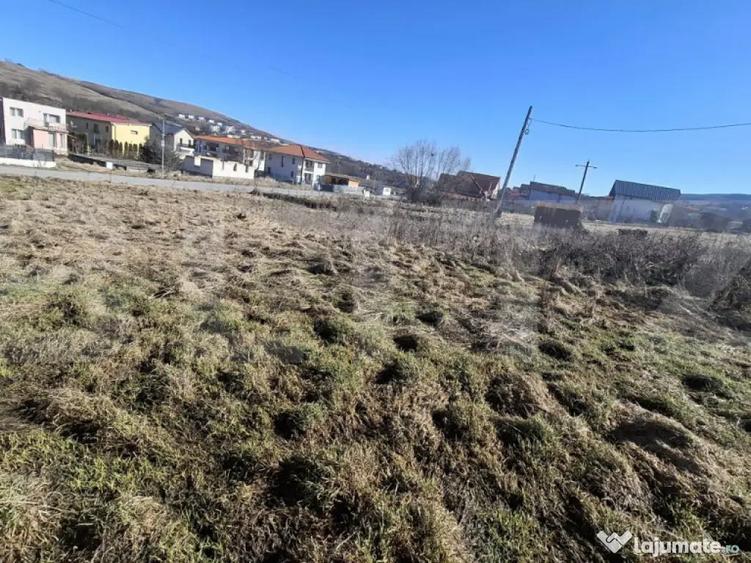 Teren construibil -556 mp situat in Chinteni in zona de ca - 5