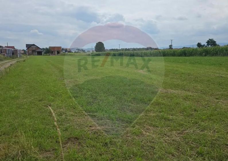 Teren 1,791mp Radauti / Strada Caramidariei - 3