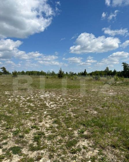 Teren intravilant, 2500 MP, parcelabil , front 25 ml ,Hardic - 8