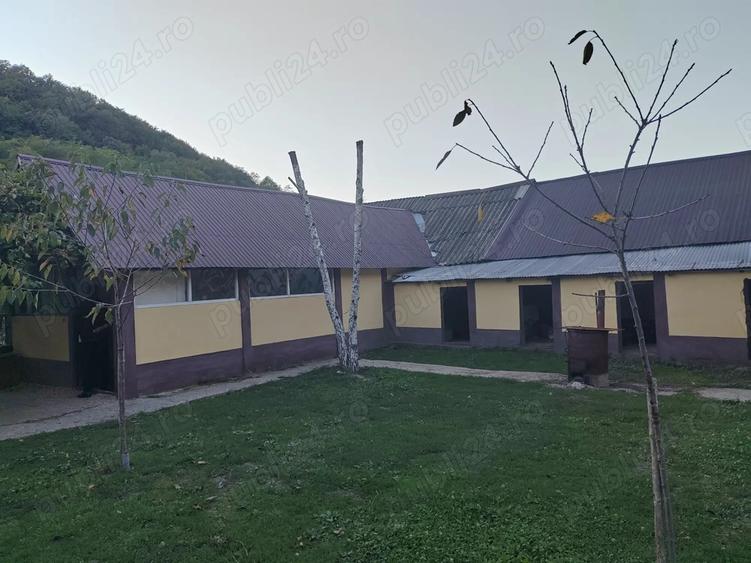 Gospodarie langa Deva - 5