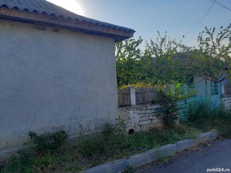 Casa cu teren intravilan Enisala 3590 mp - 7