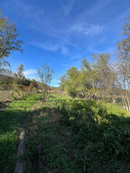 CASA DE VANZARE SAVAR?IN! - 5