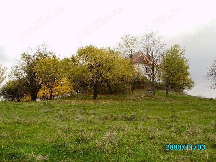 Vanzare teren 1000mp cu conac - 3